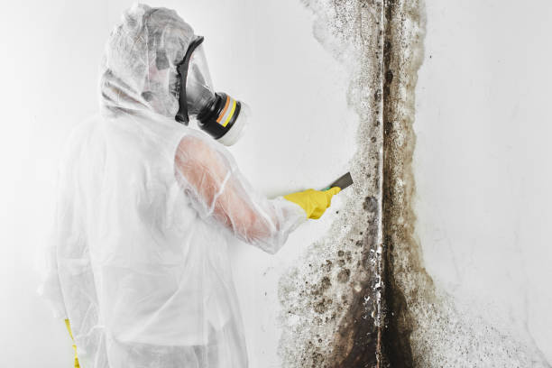 Best Residential Mold Inspection & Testing  in Hummelstown, PA